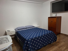 Estudio o monoambiente